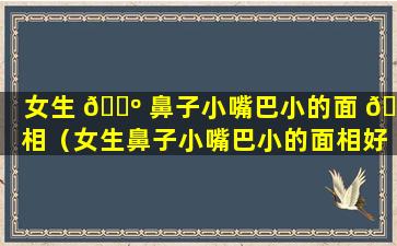 女生 🐺 鼻子小嘴巴小的面 🌼 相（女生鼻子小嘴巴小的面相好不好）